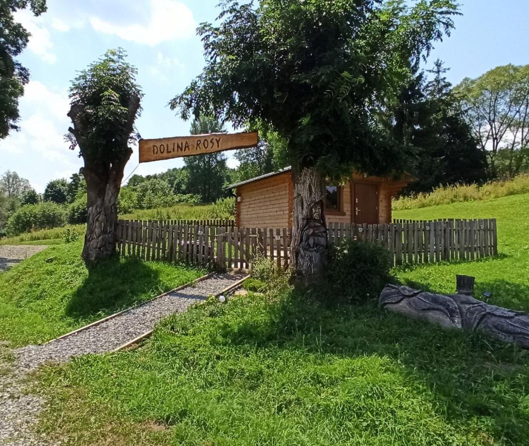 Vila Dolina Rosy Ustrzyki Dolne Exteriér fotografie